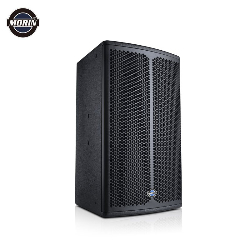 15 inch professional passive speaker 2 Way with 550W Morin CC-15