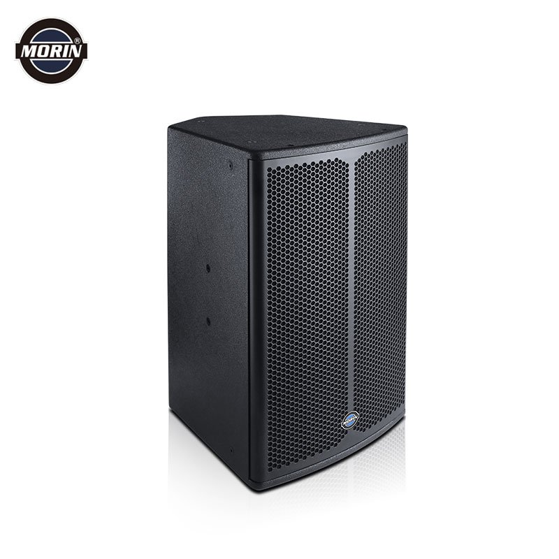 15 inch professional passive speaker 2 Way with 550W Morin CC-15