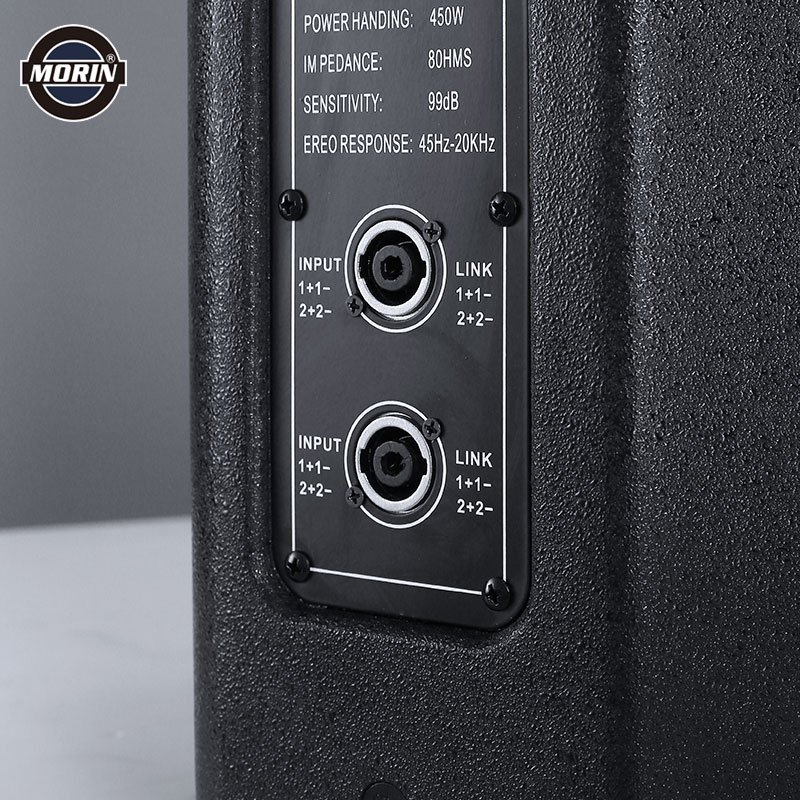 15 inch professional passive speaker 2 Way with 550W Morin CC-15