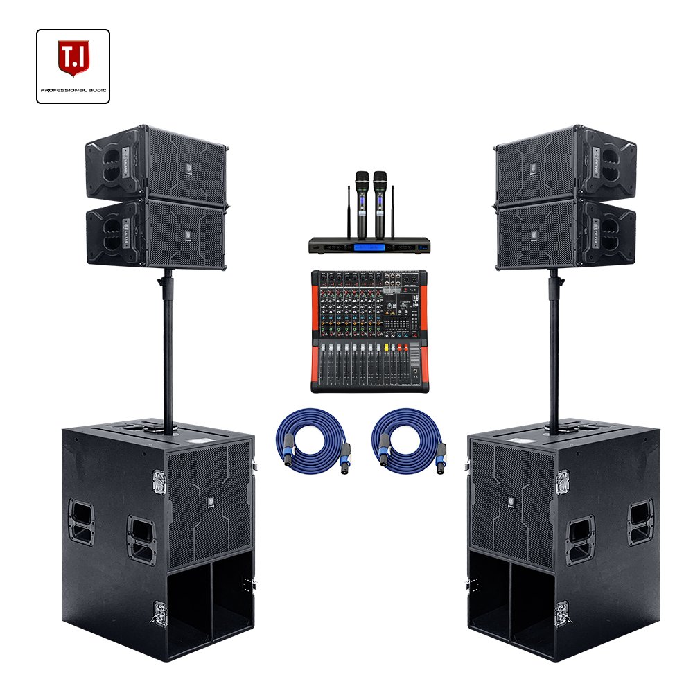 Professional Audio Dual 10 Inch DJ Power Speaker Box Passive/Active Speaker