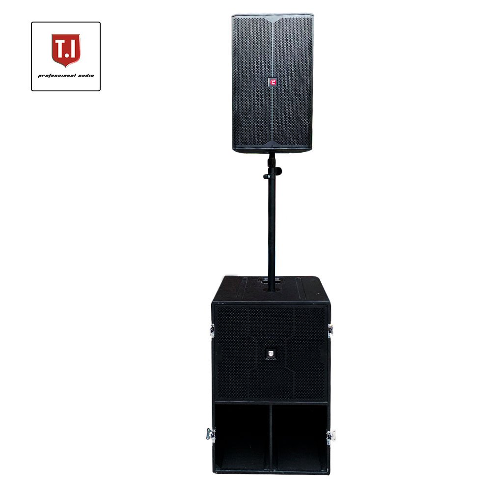 Professional Audio Dual 10 Inch DJ Power Speaker Box Passive/Active Speaker
