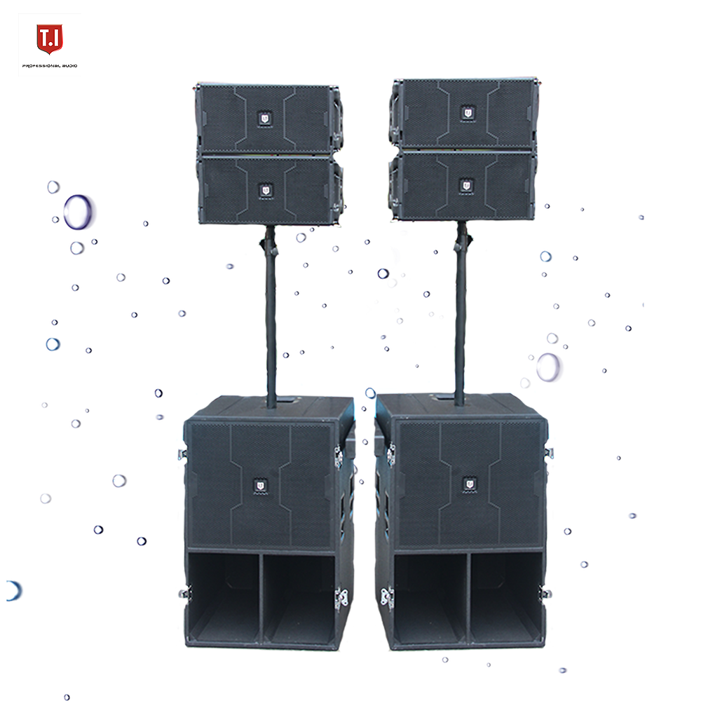 Professional Audio Dual 10 Inch DJ Power Speaker Box Passive/Active Speaker