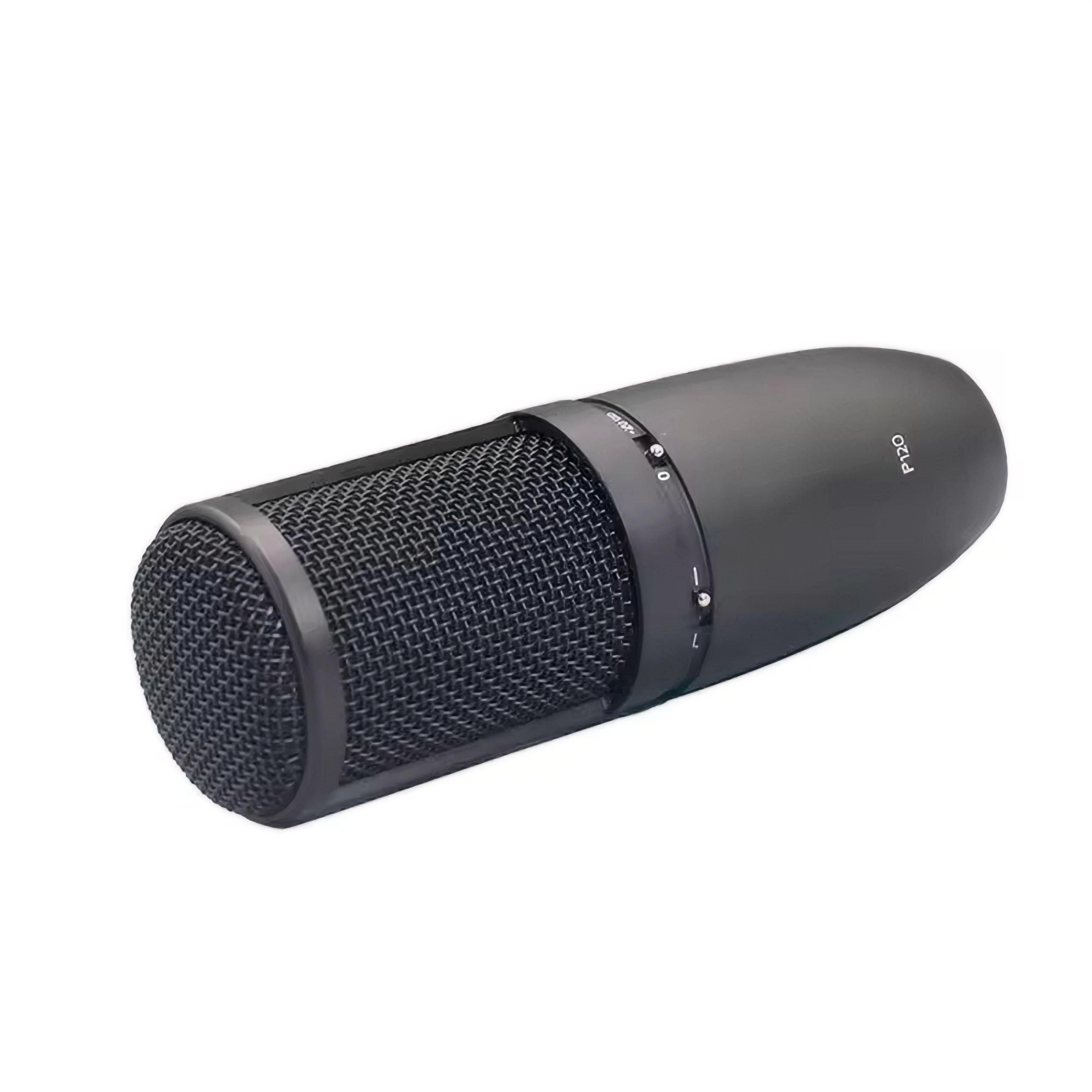 P120 Studio Equipment Condenser Microphone,Cardioid Microphone P120 Adjustable Frequency Response Dynamic Vocal Microphone