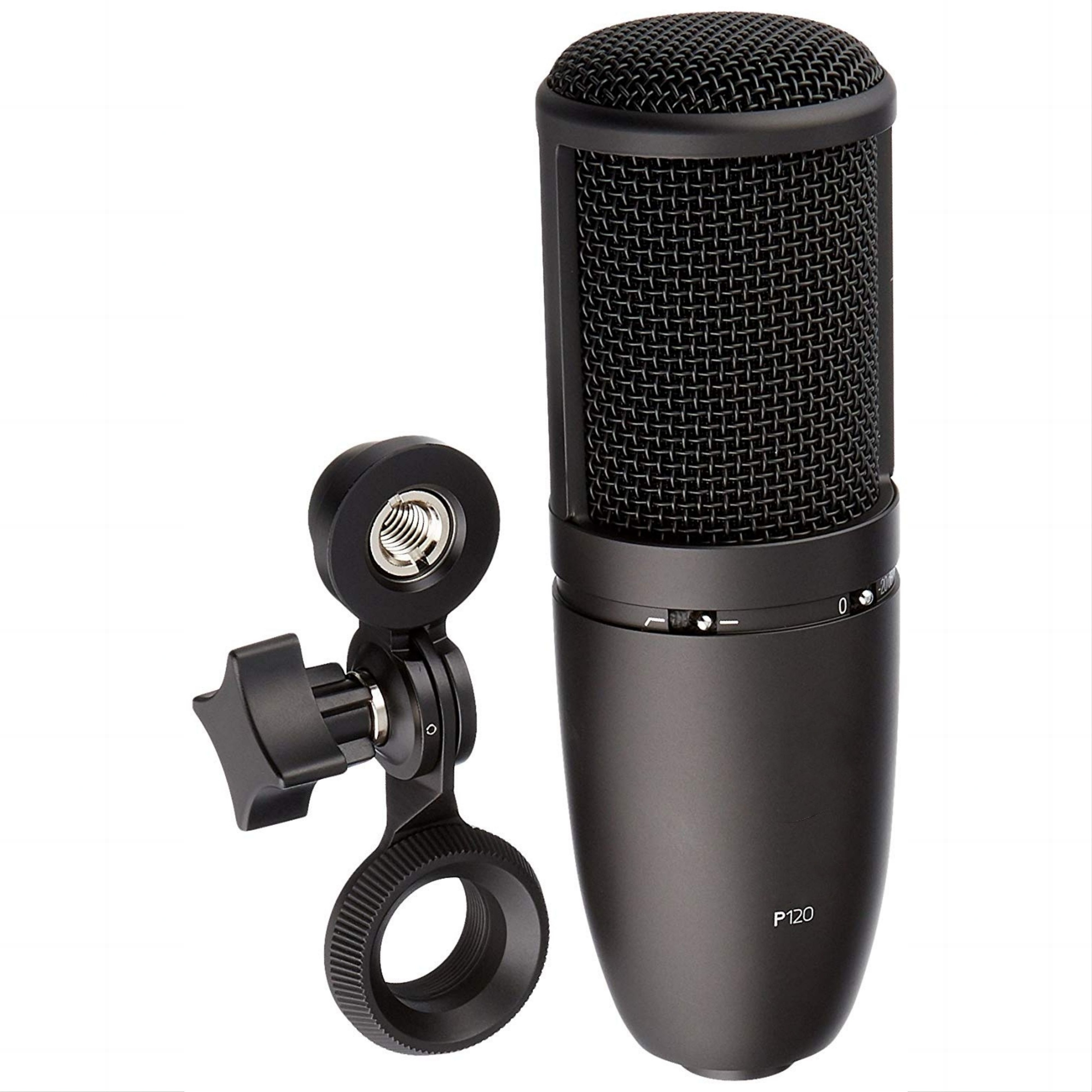 P120 Studio Equipment Condenser Microphone,Cardioid Microphone P120 Adjustable Frequency Response Dynamic Vocal Microphone