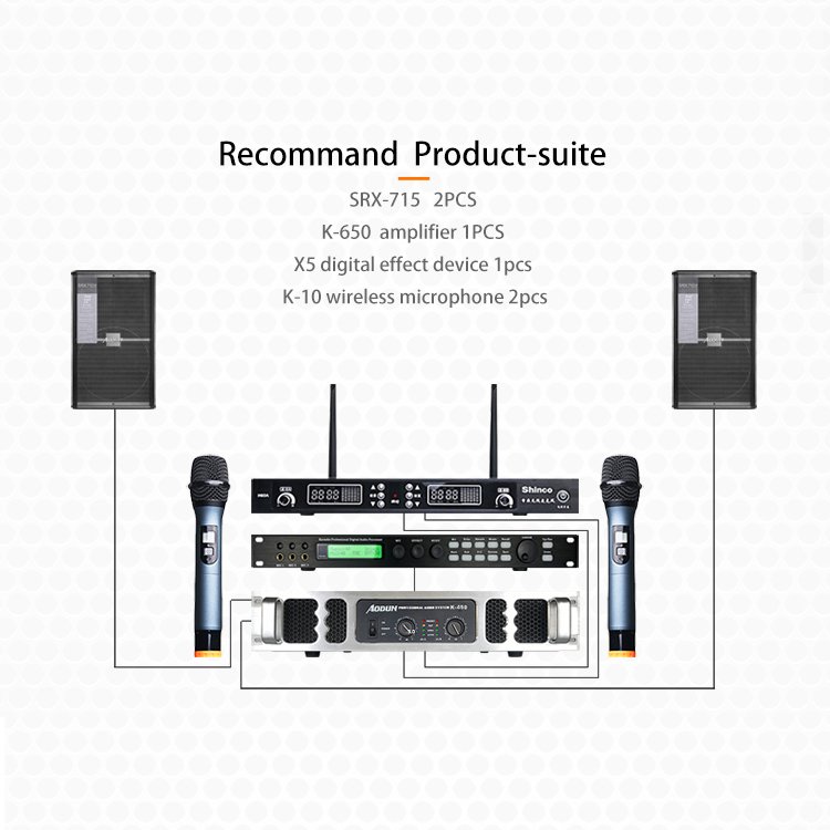 OEM Factory Customizable SRX712 Speaker Box for Stage Party Room Disco KTV Audio Sound Equipment