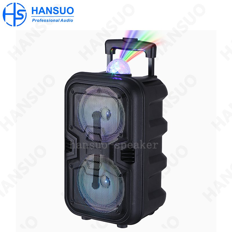 New and Original speaker subwoofer dual 06 inch 40 W kalonka large amplifier module for active karaoke machine