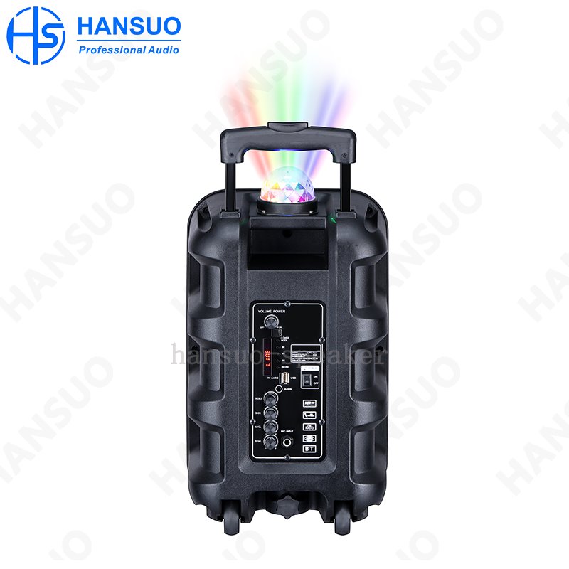 New and Original speaker subwoofer dual 06 inch 40 W kalonka large amplifier module for active karaoke machine