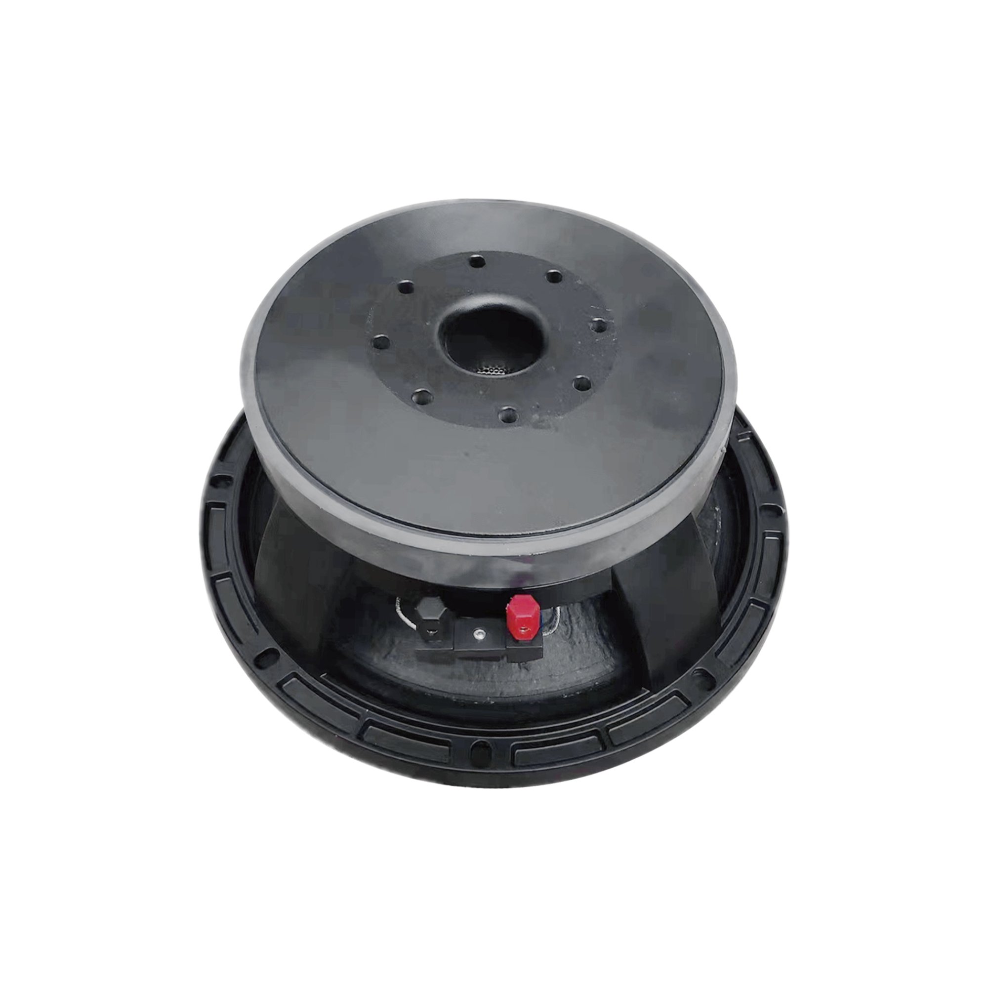 Accuracy Pro Audio Professional Woofer 10BCM100 Pairable with Wooden Line Array Speakers