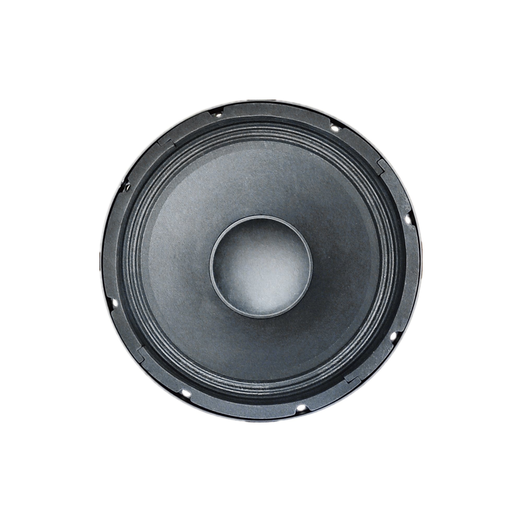 Accuracy Pro Audio Professional Woofer 10BCM100 Pairable with Wooden Line Array Speakers