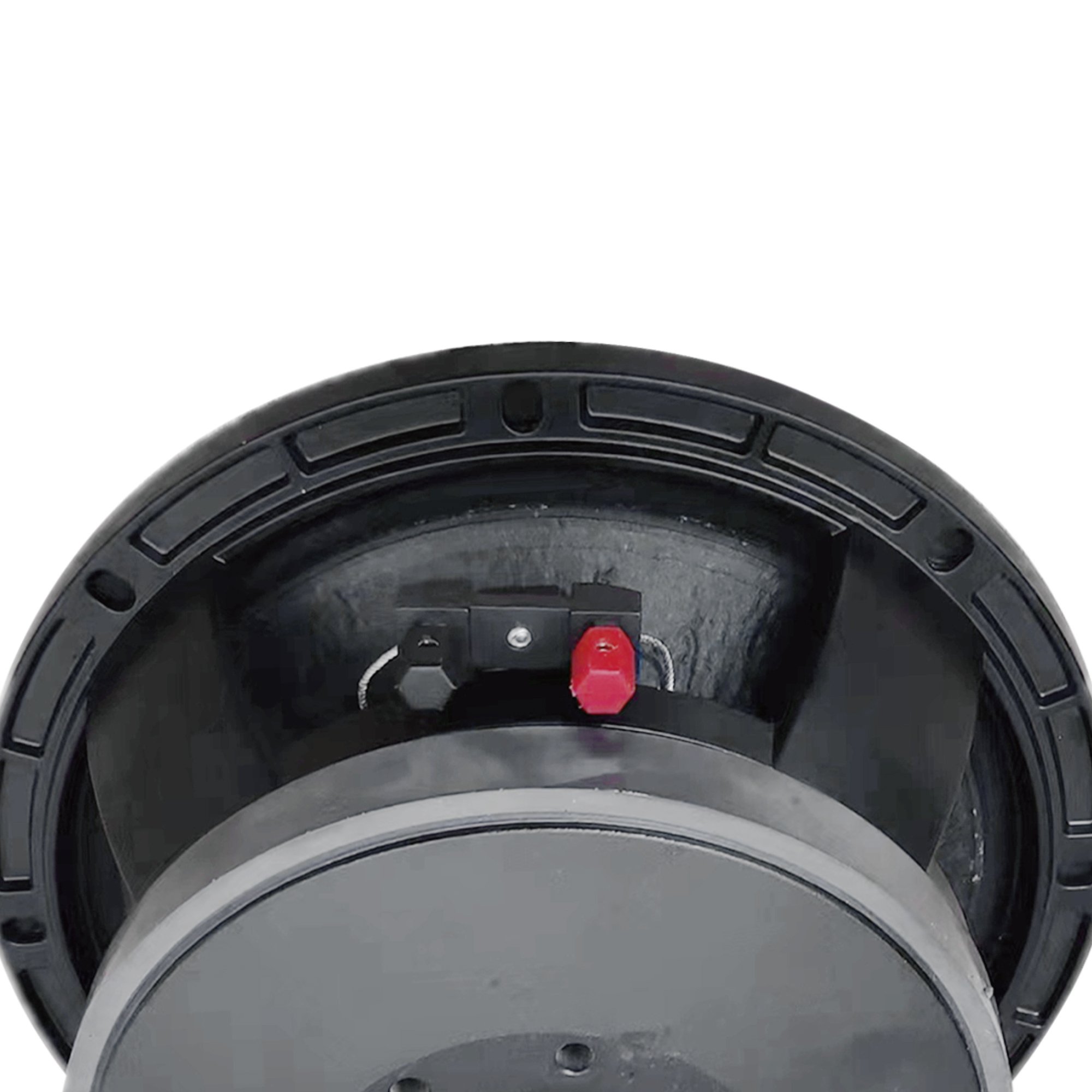 Accuracy Pro Audio Professional Woofer 10BCM100 Pairable with Wooden Line Array Speakers