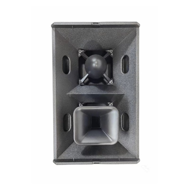 T24N hot professional speaker 1000w dual 12'' powerful dj pa system audio