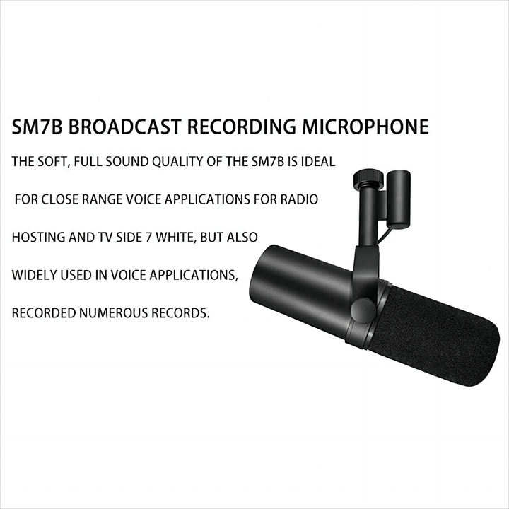 Professional Live Streaming Xlr Mic Podcast Recording Condenser Mic Studio Equipment Musical Condenser Microphone