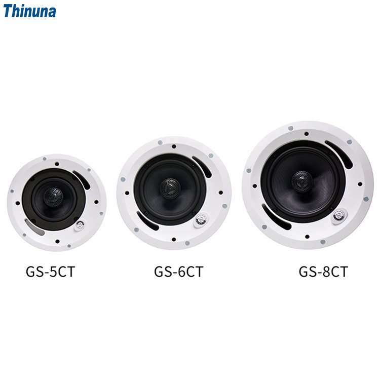 Thinuna GS-5CT/6CT/8CT Professional Audio System 30w 2 Way PA Speaker Public Address Sound System Coaxial Ceiling Speaker