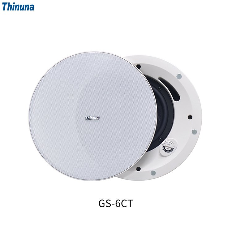 Thinuna GS-5CT/6CT/8CT Professional Audio System 30w 2 Way PA Speaker Public Address Sound System Coaxial Ceiling Speaker