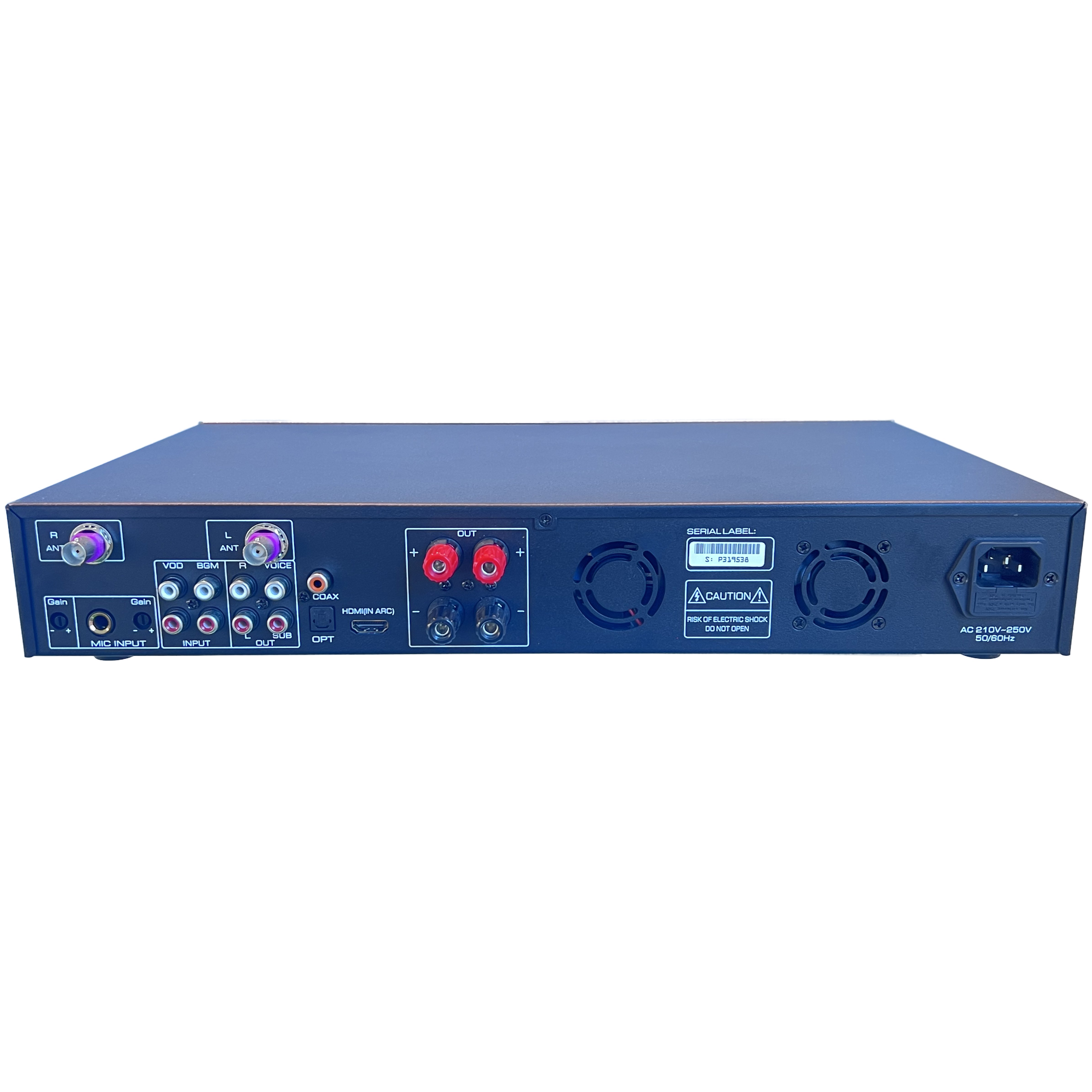 Professionalaudio Sound Equipment Digital Integrated Amplifier with Built-In Microphone for Karaoke