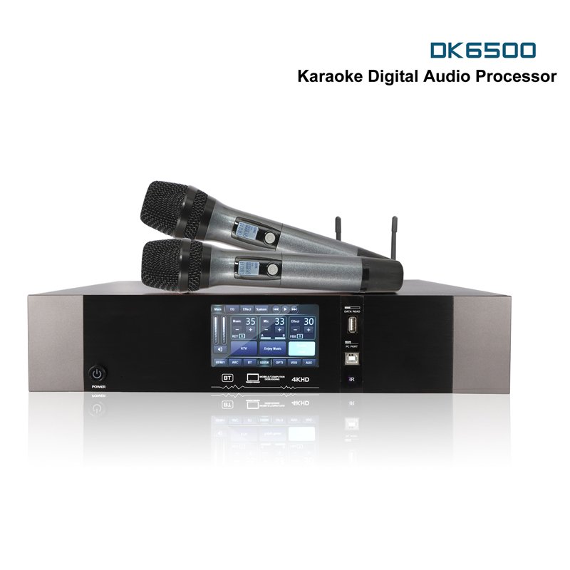 DK6500 Professional Front Stage Karaoke Audio Processor 3 In 1 DSP Karaoke Microphone Amplifier