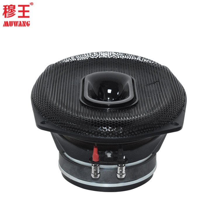 6inch professional audio outdoor speaker sound system stage speaker wholesale OEM ODM WL69100TH