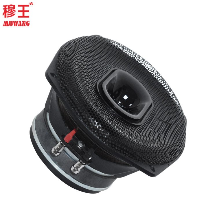 6inch professional audio outdoor speaker sound system stage speaker wholesale OEM ODM WL69100TH