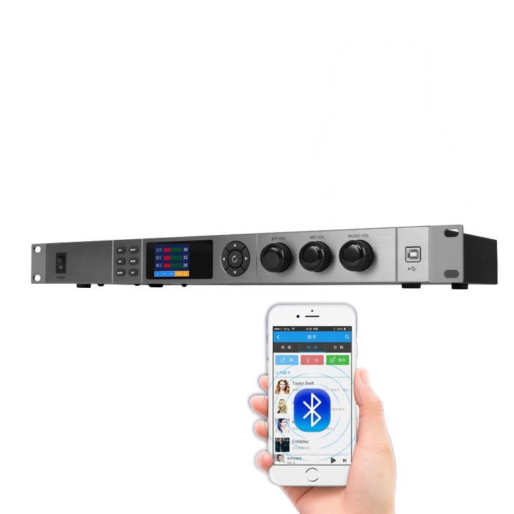 Berase Professional Audio Mixer Speakers Audio System Sound Pre Ampli Amply Digital Sound Effect audio processor