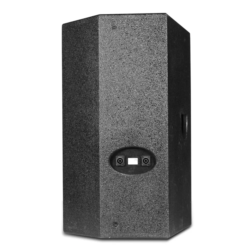 Depusheng F15 factory wholesale professional single 15-inch professional 600w speaker portable sound equipment speaker