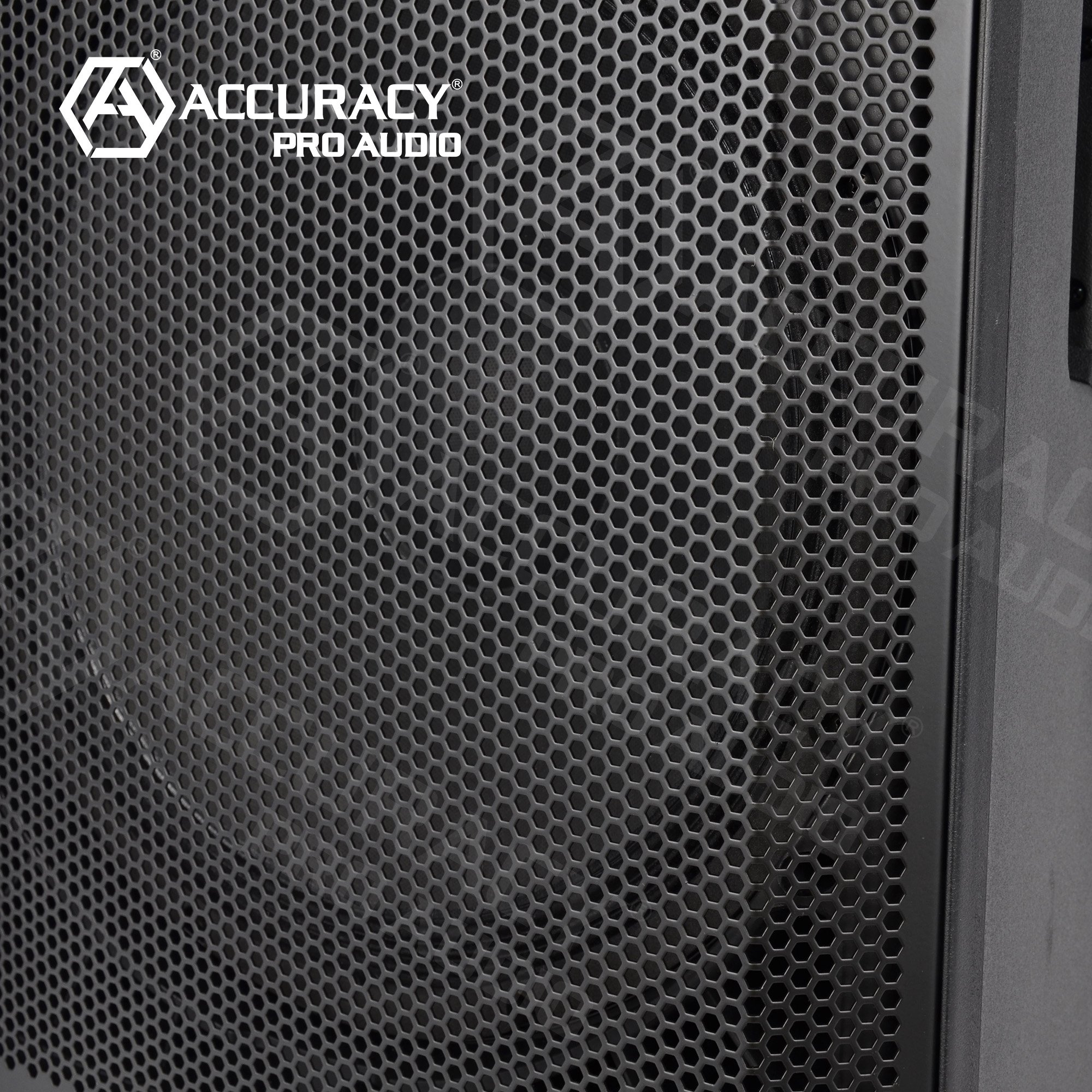 Accuracy Pro Audio CBN15TD3H Active Speaker High-Accuracy Genre Audio Sound Equipment