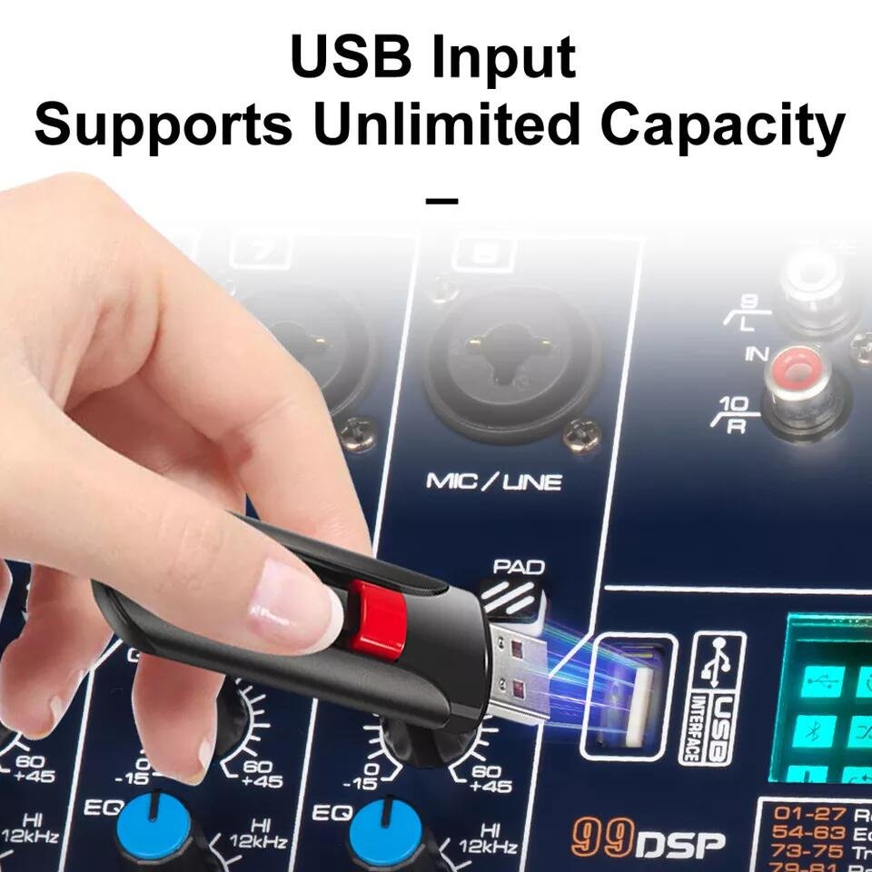 Depusheng GT10M professional 10 channels audio mixer amplifier Equipped with 2 Handheld Wireless Microphones