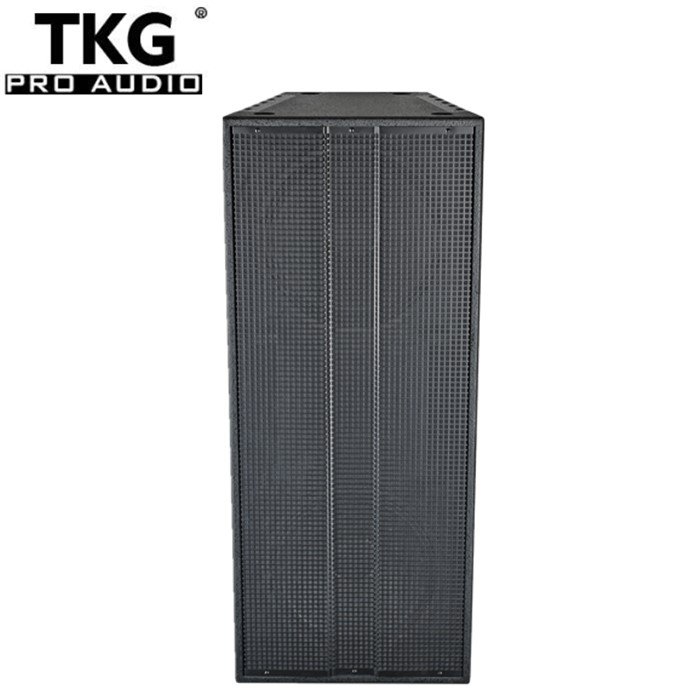 TKG 1000w DW25 dual 15 inch full range speaker audio loudspeaker sound system dj