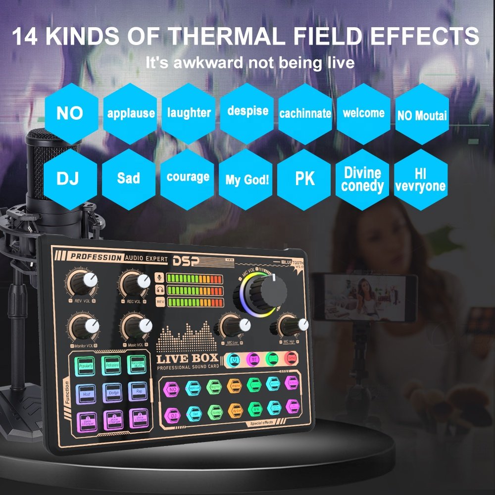 Huayi Voice V9 Sound Card with Microphone for Live Singing Podcast Gaming with Noise canceling, multiple sound effects