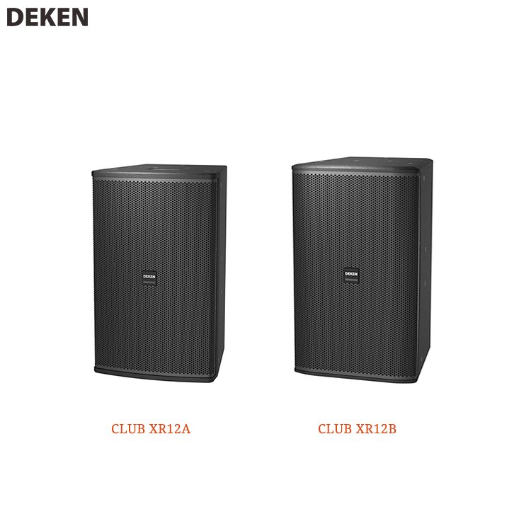 DEKEN CLUB XR12B Professional 12 Inch Audio Speaker 300w for Conference Club Multifunctional Speaker for Business Entertainment