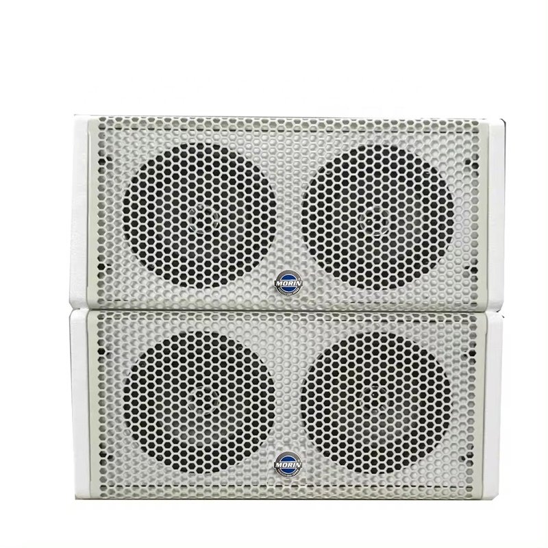 Double 5 Inches Woofer Birch Plywood Line Array Passive 480W Loudspeaker Sound System Line Arrays for Gymnasium Sports Hall