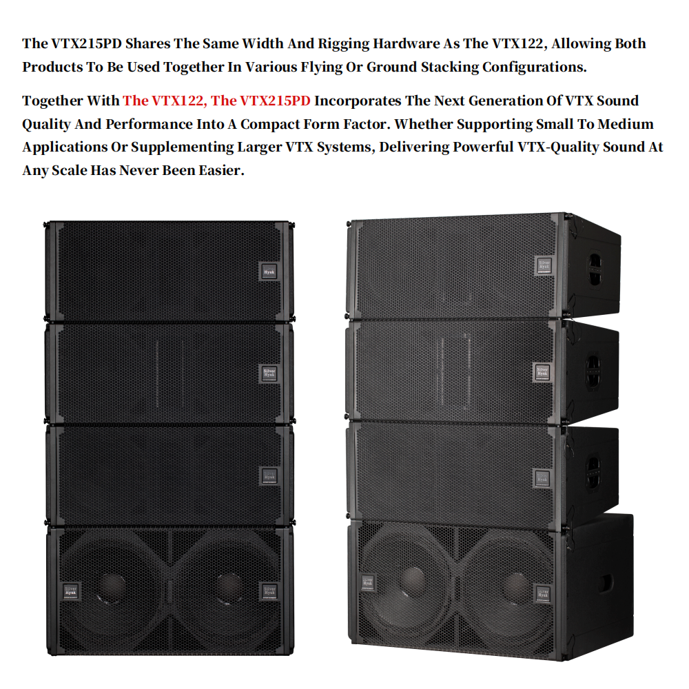 China Professional Audio Active Dual 15 Inch 2000W Active Array Subwoofer Linear Sound System Speakers