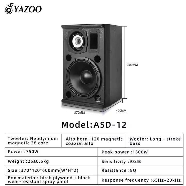 Outdoor entertainment dance singing cinema level high power 21 inch 800W sound equipment