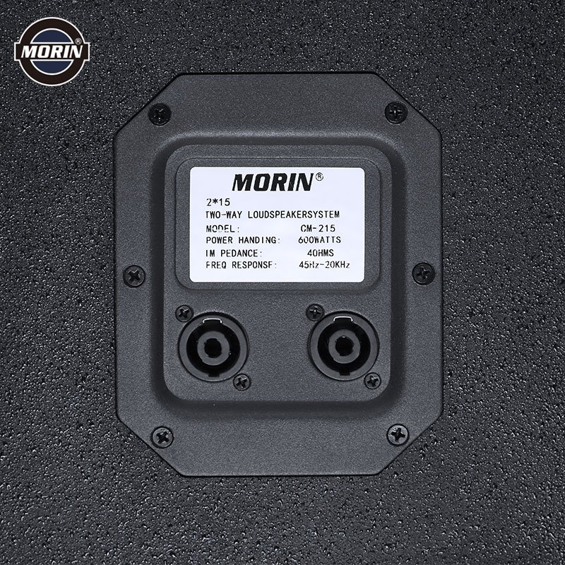 600 watts 215 professional speakers passive full rang speaker 15 inch double speaker