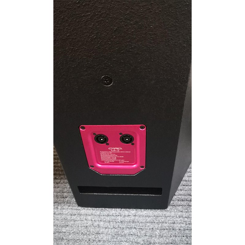 High-End Custom Full-Range Audio Sound Equipment 12-Inch Professional Multi-Function Speaker Suitable For Conference Rooms