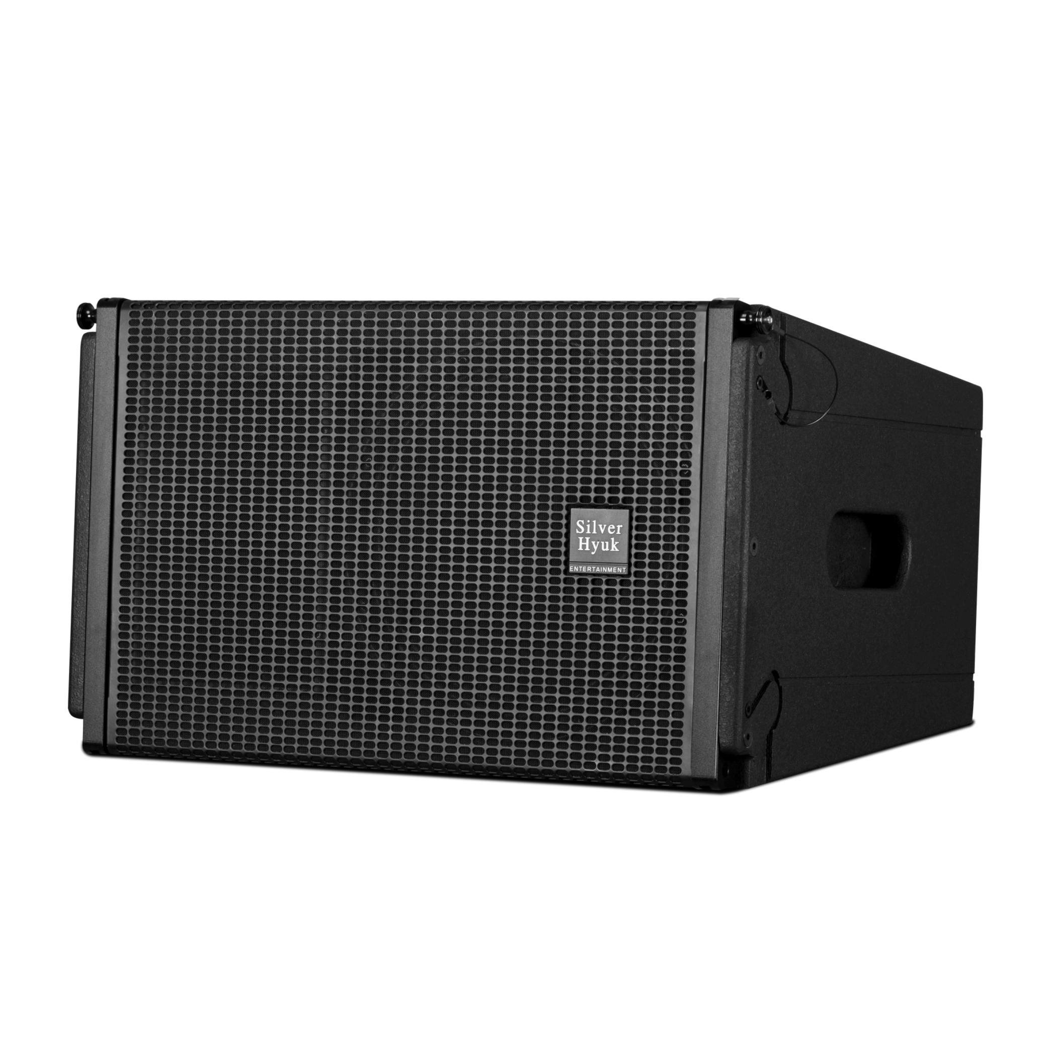 Pro Audio Passive 10 Inch Two-Way Line Array Speakers 350W Line Array Sound System