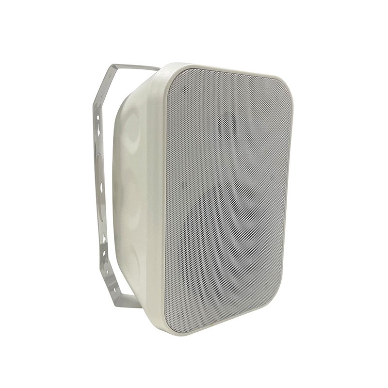 Tonmind TS-AW220 4-Inch Analog Wall-Mounted Sound Equipment/Amp/Speaker High Quality Wall-Mounted Speaker