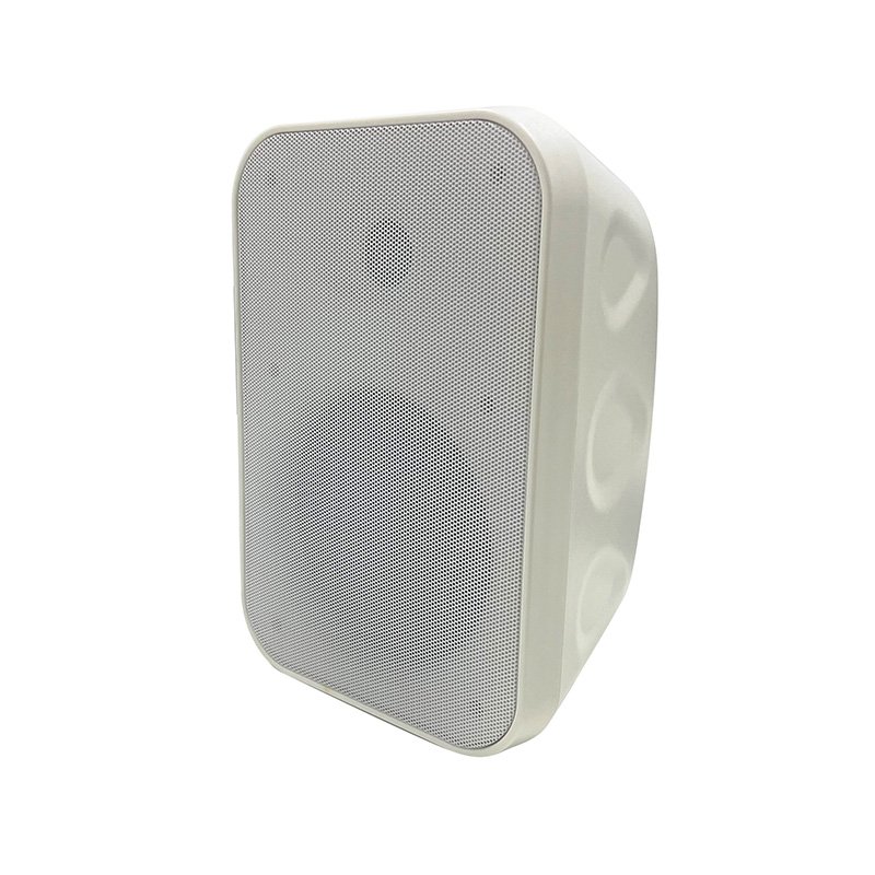 Tonmind TS-AW220 4-Inch Analog Wall-Mounted Sound Equipment/Amp/Speaker High Quality Wall-Mounted Speaker