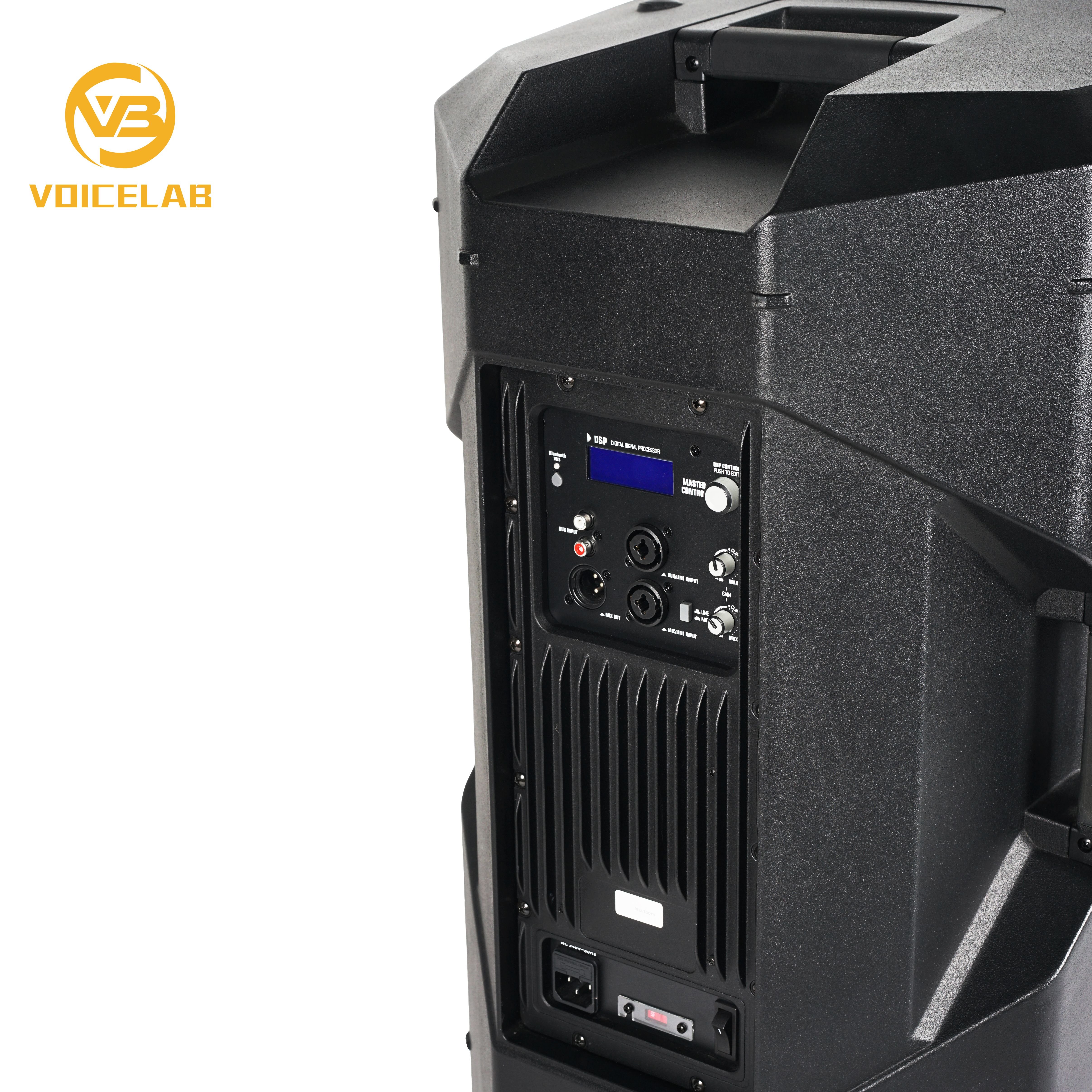 PXL15-DM450GC 15 inch Class D Plastic sound box System party DJ home Active Powered Speaker 15''
