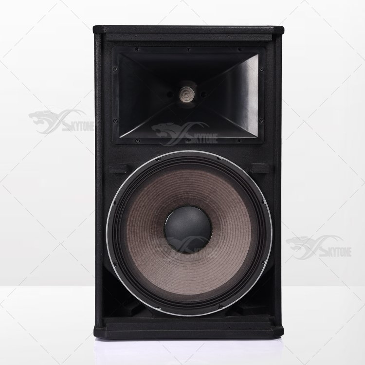 Skytone SRX700 Dj Sound System Price, Professional Speakers And Loudspeaker