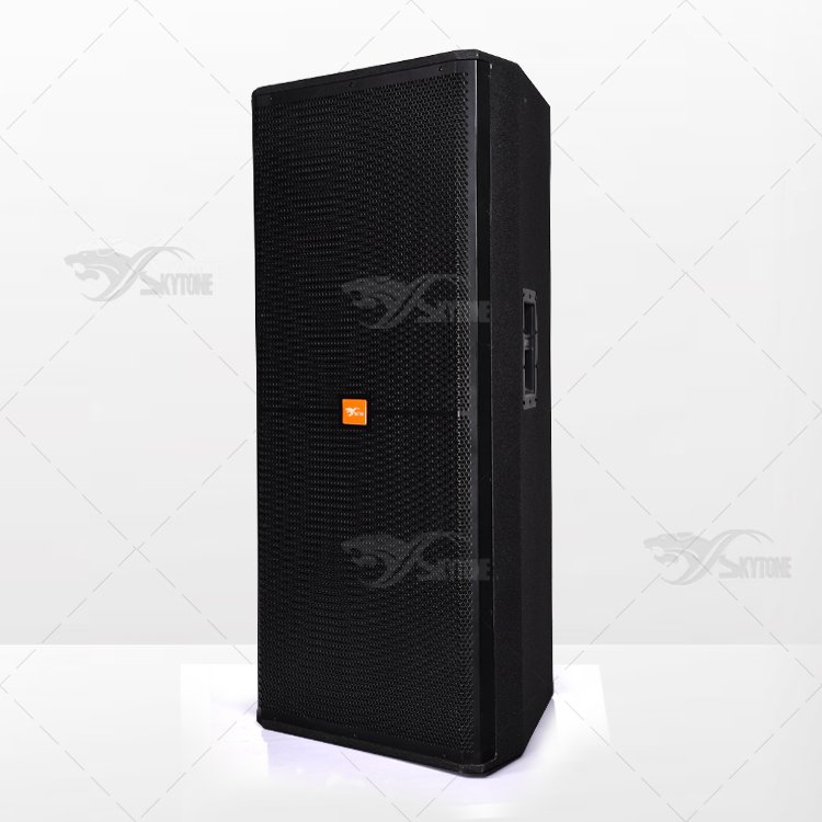 Skytone SRX700 Dj Sound System Price, Professional Speakers And Loudspeaker