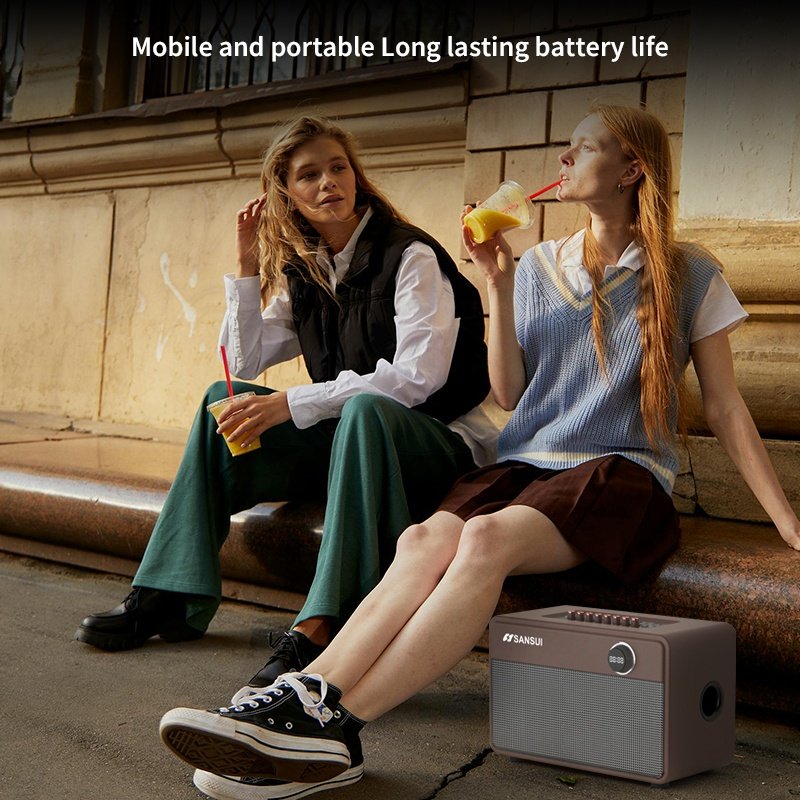 SANSUI D 8 Portable wireless speaker bluetooth karaoke sound equipment/amplifiers/speaker