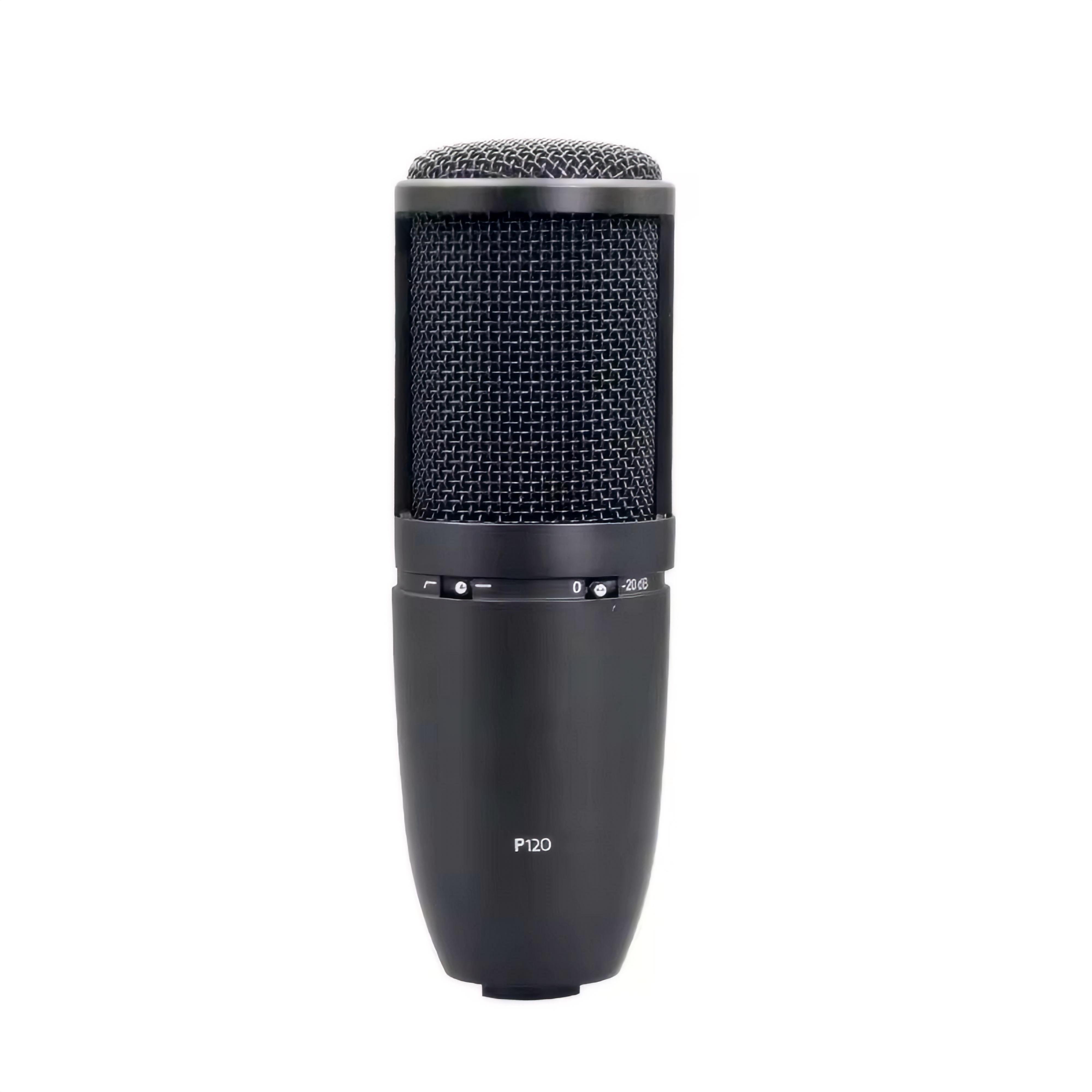 High quality Cardioid Microphone P120 Adjustable Frequency Response Dynamic Vocal Microphone Ensure Clear Sound For Recording