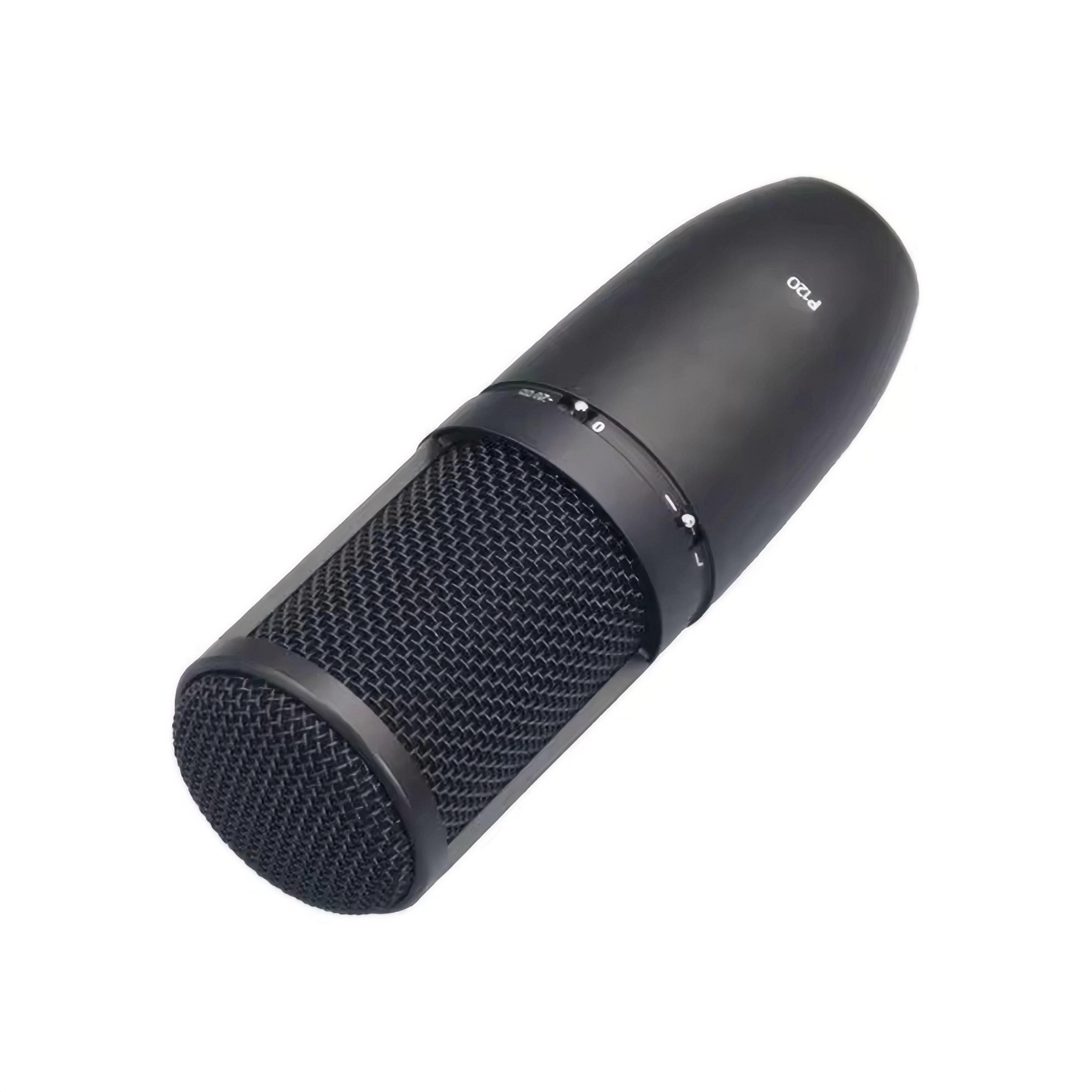 High quality Cardioid Microphone P120 Adjustable Frequency Response Dynamic Vocal Microphone Ensure Clear Sound For Recording