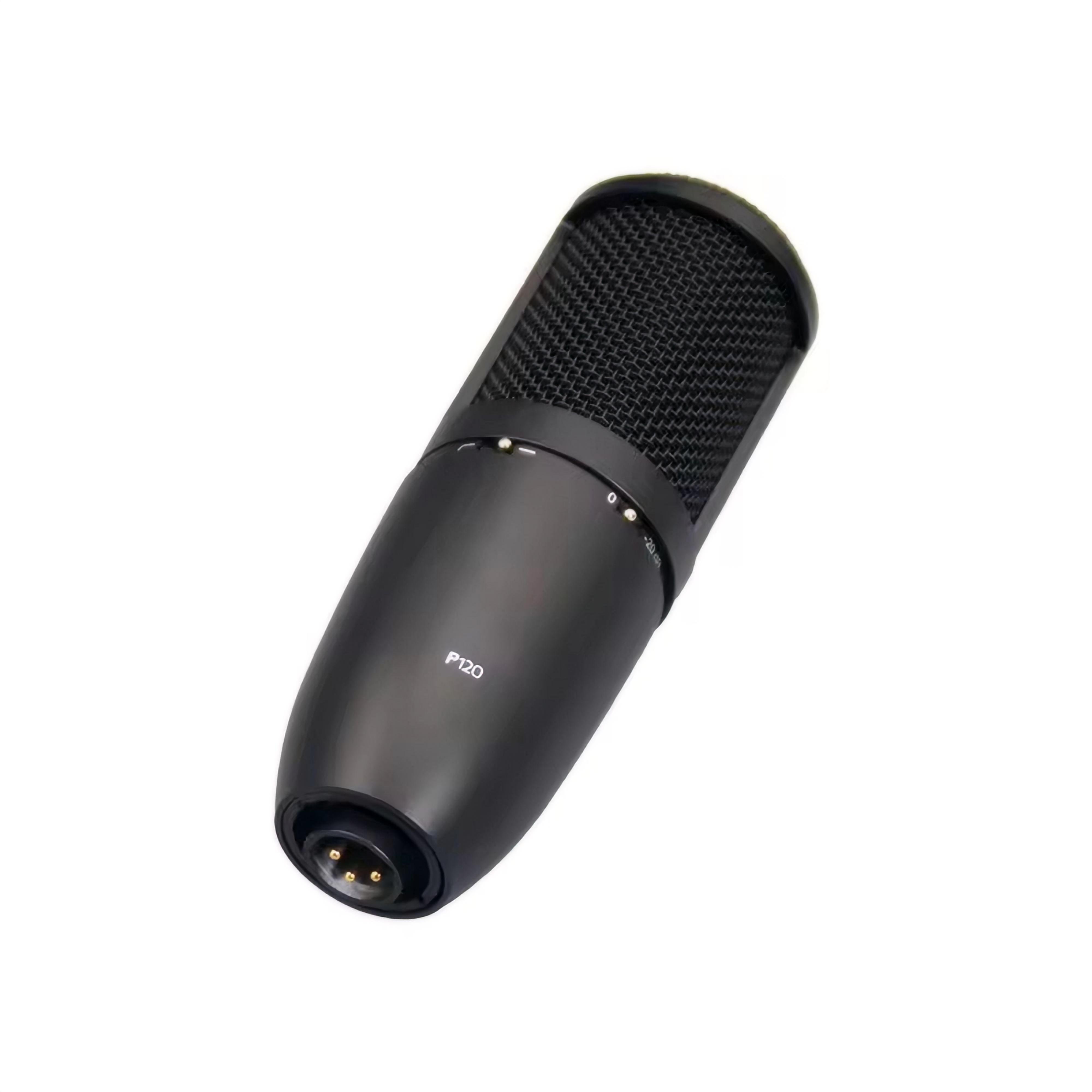 High quality Cardioid Microphone P120 Adjustable Frequency Response Dynamic Vocal Microphone Ensure Clear Sound For Recording