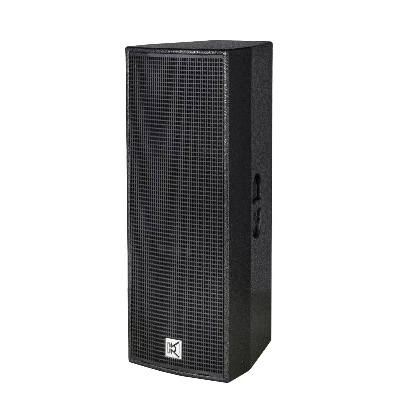 Dual 12 Inch Audio High End Full Range Loudspeaker Sound System