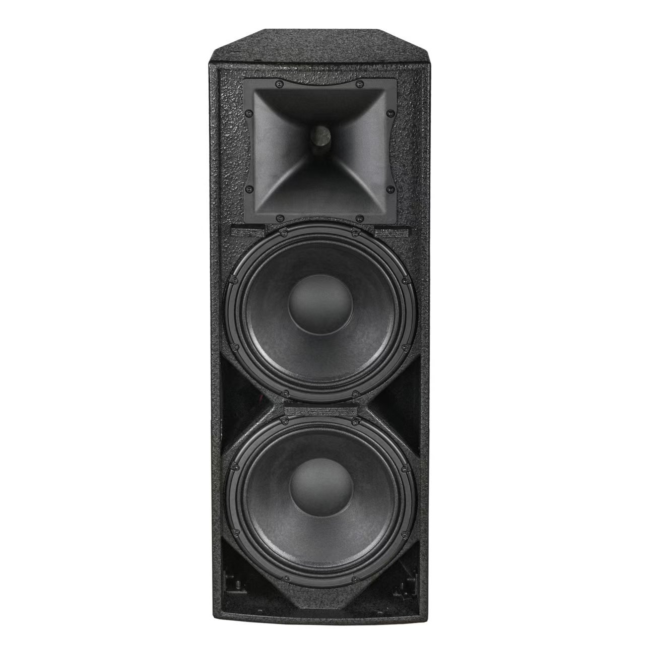 Dual 12 Inch Audio High End Full Range Loudspeaker Sound System