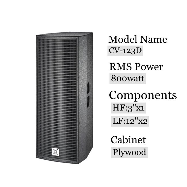 Dual 12 Inch Audio High End Full Range Loudspeaker Sound System