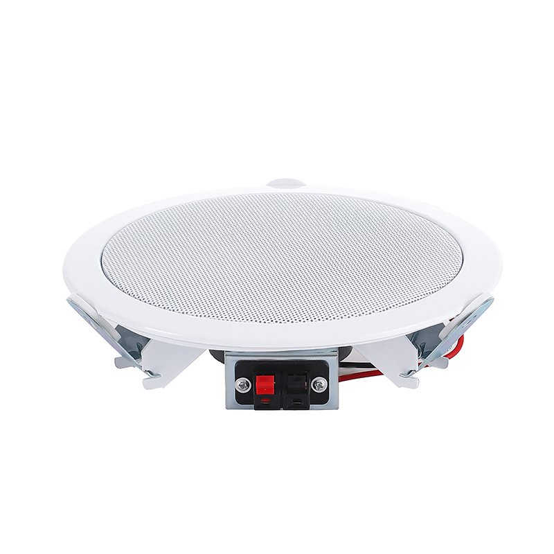 Speaker supplier HIFI in ceiling speaker Sound Equipment Live 5 inches ceiling speaker for school home theater hotel