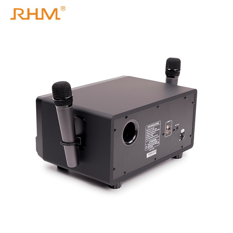 Portable Home Karaoke BT Speaker with Subwoofer AC Powered Plastic Microphone Amplifier Wireless Audio for KTV Singing