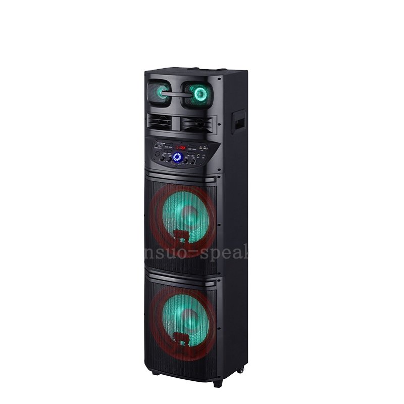 OEM Factory speaker dual 12 inch woofer 100 W kalonka subwoofer speaker amplifier case rechargeable